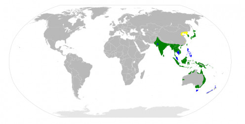 Distribution of the Eastern Great Egret. Colour code: yellow: breeding, green: year-round, blue: nonbreeding. 