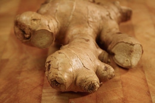 Ginger plant root