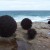 Urchins by Keyy-Ann Lees. Made from recycled ferrous scrap metal. Urchins by Keyy-Ann Lees. Made from recycled ferrous scrap metal.