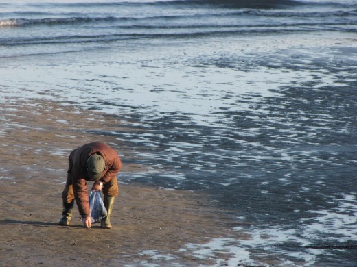 Seaside Scavenger Hunts get them playing outside.