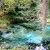 Native Florida wildlife and springs at Rainbow Springs State Park. Native Florida wildlife and springs at Rainbow Springs State Park.