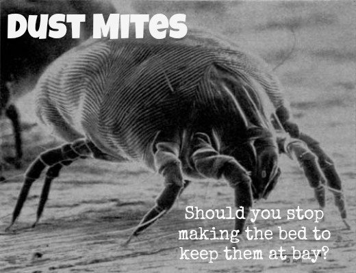 Does making your bed encourage dust mites to settle in?