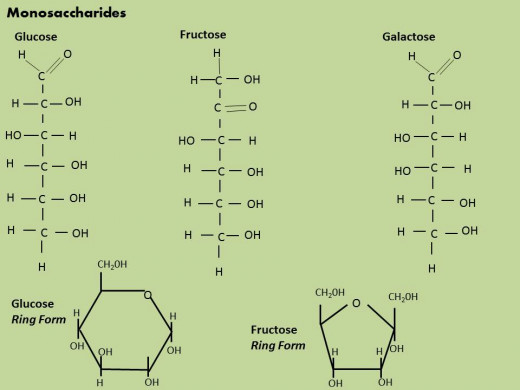 glucose structure galactose vs Fructose your  know vs. the difference Glucose Does body