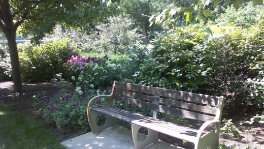 This bench is located a 6 miles from my home and is located at the Indianapolis Art Museum where anyone and everyone can visit.