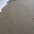 Footsteps on Nags Head Beach On The North Carolina Outerbanks. Have you ever put your footsteps on the beach here. Footsteps on Nags Head Beach On The North Carolina Outerbanks. Have you ever put your footsteps on the beach here.