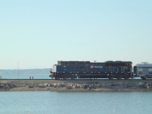 MRL Special Crossing over Lagoon