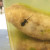 A little blurry but a look at my little pollywog turning into a frog. A little blurry but a look at my little pollywog turning into a frog.