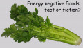 Are Energy Negative Foods Real?