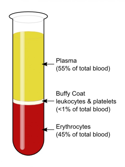 Understanding Your Blood Tests & Biochemistry Owlcation