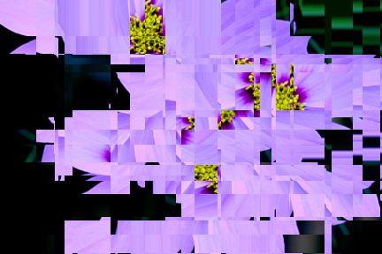 mosaic in purple, after using distort wave square