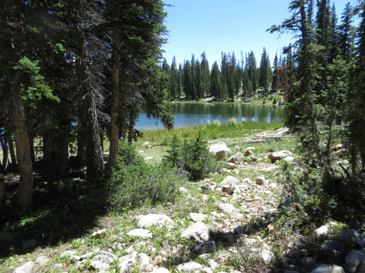 Picturesque Lake