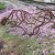 Panther on the prowl by Drew Mansur and Derek Mansur. Using scrap metal from their farm they designed and assembled this work to capture the movement and grace of the incredible wild animal. Panther on the prowl by Drew Mansur and Derek Mansur. Using scrap metal from their farm they designed and assembled this work to capture the movement and grace of the incredible wild animal.