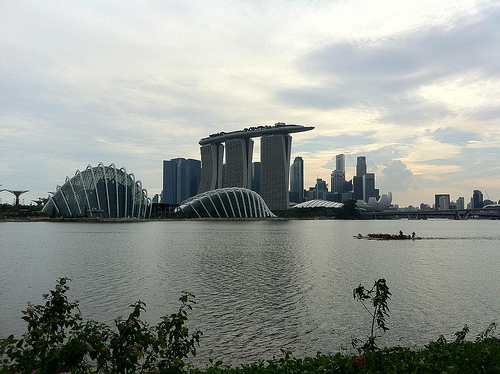 A view from Bay East Garden