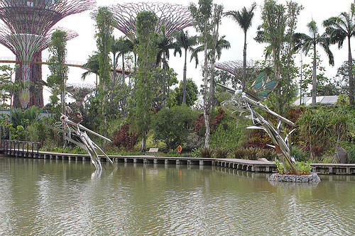 Dragonfly Lake