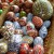 image:sxc image:sxc