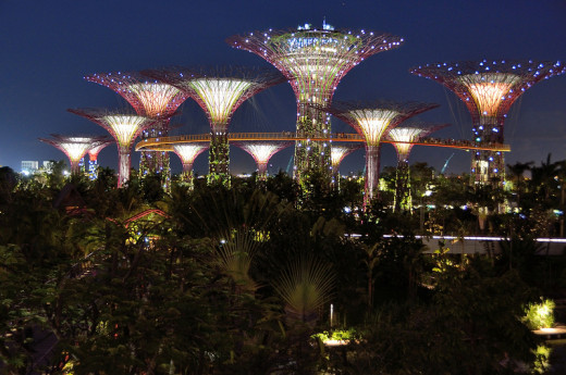 Gardens by the Bay at night