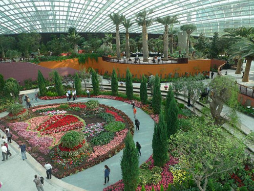 Inside the Flower Dome