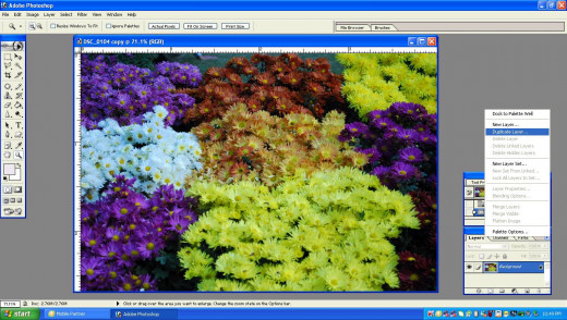 Duplicate background layer