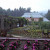 The weather was terrible once we got the the gardens, so we stayed in the car and took pictures as we drove by. The weather was terrible once we got the the gardens, so we stayed in the car and took pictures as we drove by.