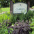 Kitchen Garden Kitchen Garden