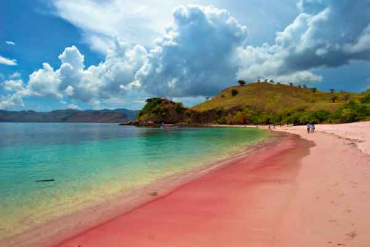 Pink beach, Lombok.
