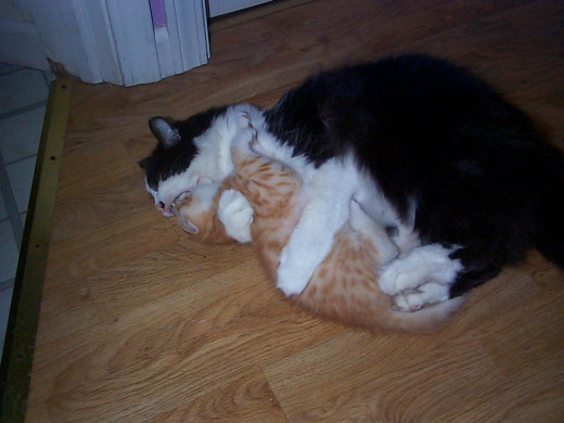 Lydia loving Zeke