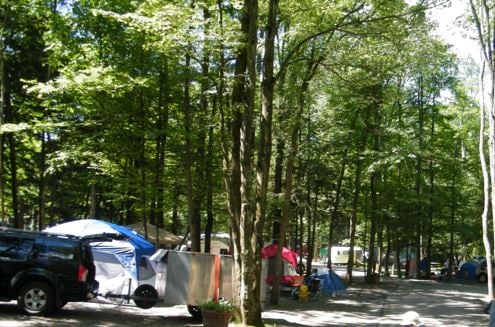 Wooded Campsites
