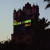 "The Hollywood Tower of Terror" "The Hollywood Tower of Terror"