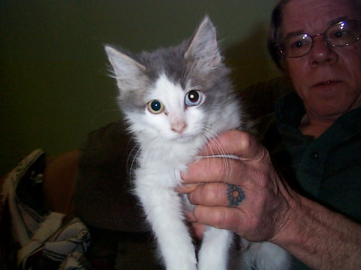 Chantal who was mostly white with some light gray fur on her head