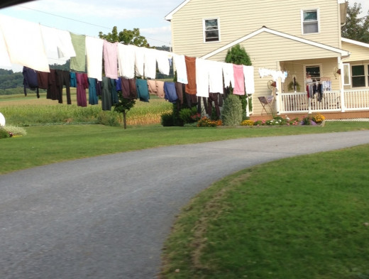 Laundry hanging on my street on a Monday morning. 