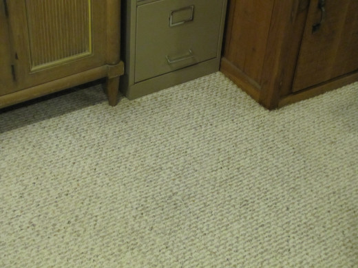 Pet Stains Cleaned From Carpet