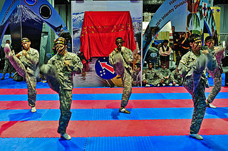 Twelve Soldiers perform Tae Kwon Do demonstrations at the Walter E. Washington Convention Center in Washington, DC., Oct. 12, 2011.