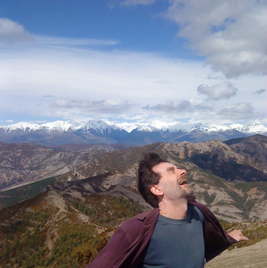 I went to the Pyrenees in Spain last year. Past simple.