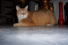 several years after his diagnosis/prognosis