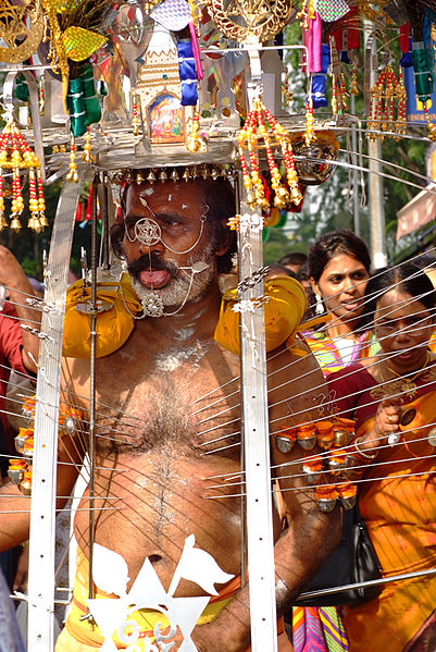 Hindu devotee carrying a kavadi with bodily piercings during Thaipusam