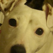 Ruth Stewart profile image