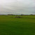 The famous bridge at St Andrews golf Course The famous bridge at St Andrews golf Course