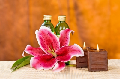 The Toxic Dangers of Cosmetics Uncovered
