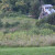 The countryside near my home. The countryside near my home.