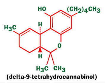 Delta-9-tetrahydrocannabinol molecule