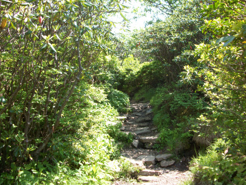 Craggy Gardens off the Blue Ridge Parkway in North Carolina