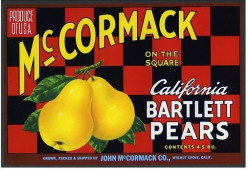 McCormack Pears free cross stitch pattern