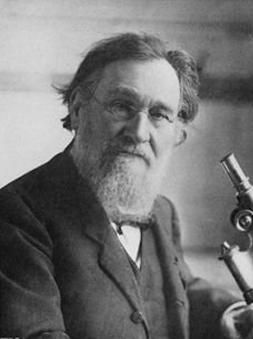 Elie Metchnikoff