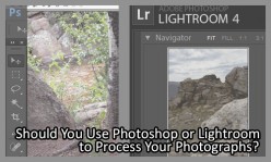 Should You Use Photoshop or Lightroom to Process Your Photographs?
