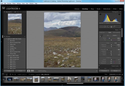 The develop window allows you to adjust and tweak photographs.