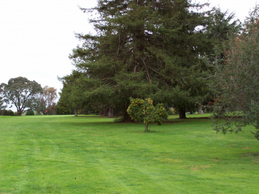 Off the fairway you will find many obstacles.  Your golf becomes frustratingly more difficult with extra strokes.  Stay cool and play sure golf shots to realistic target zones on the fairway, then celebrate them.