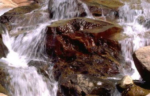 Hope Springs