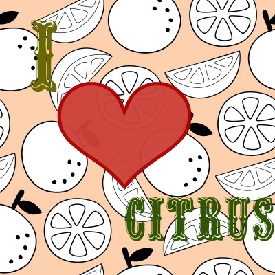 Pin if you love citrus!