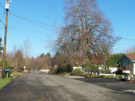 Current neighborhoods are alive with stories