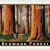 Priority Mail Stamp- California Redwoods